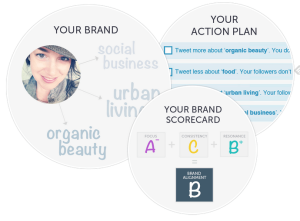 Get a free Twitter Brand Assessment   Action Plan   Twylah